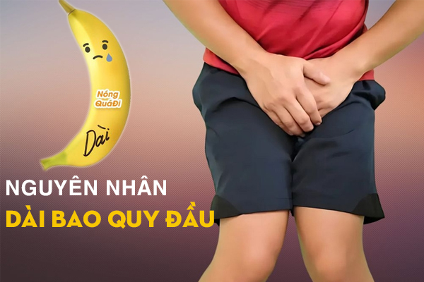 Nguyên nhân gây dài bao quy đầu ở nam giới