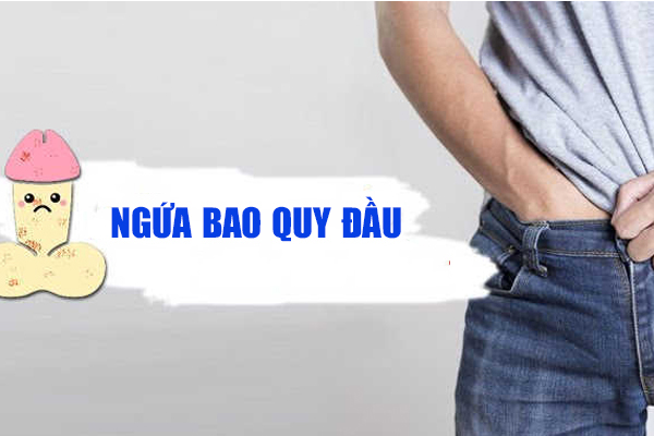 Ngứa bao quy đầu dương vật là bị gì?